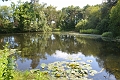 11 06 11_7165